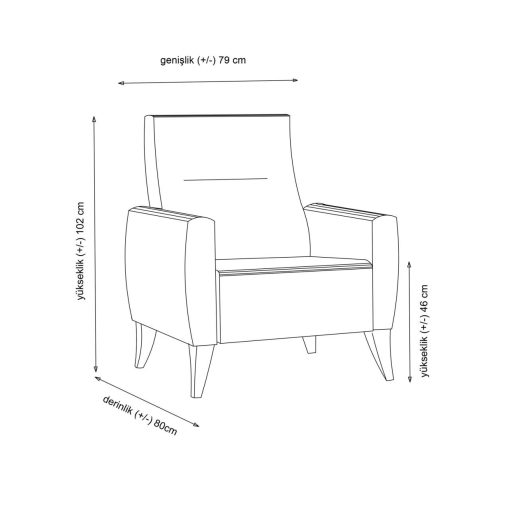 Wing Chair – Minar – Gri Inchis